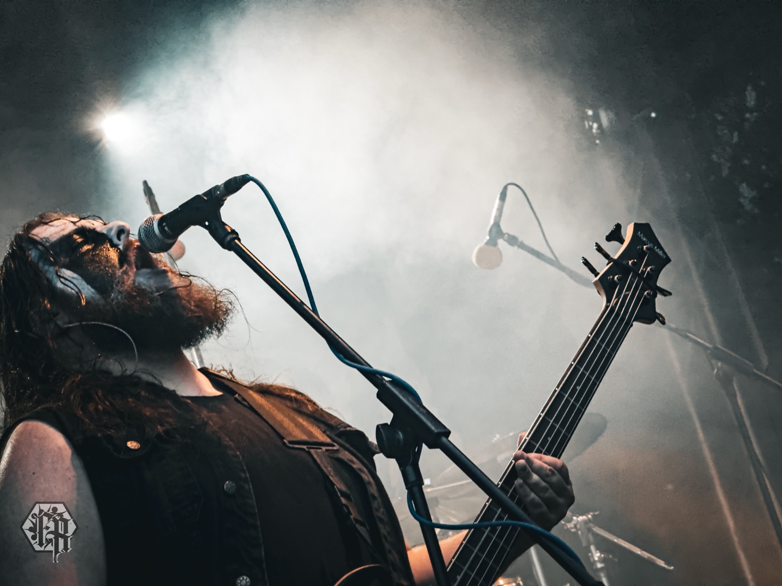 Khepra Bassist im Gegenlicht